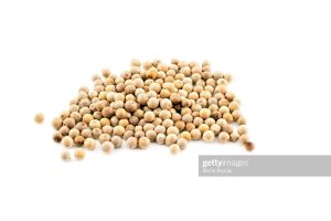 gettyimages-980451688-2048×2048 gettyimages-980451688-2048x2048